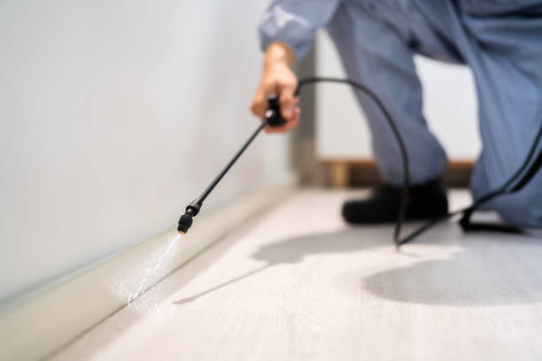Professional exterminator conducting IPM assessment in Delray Beach